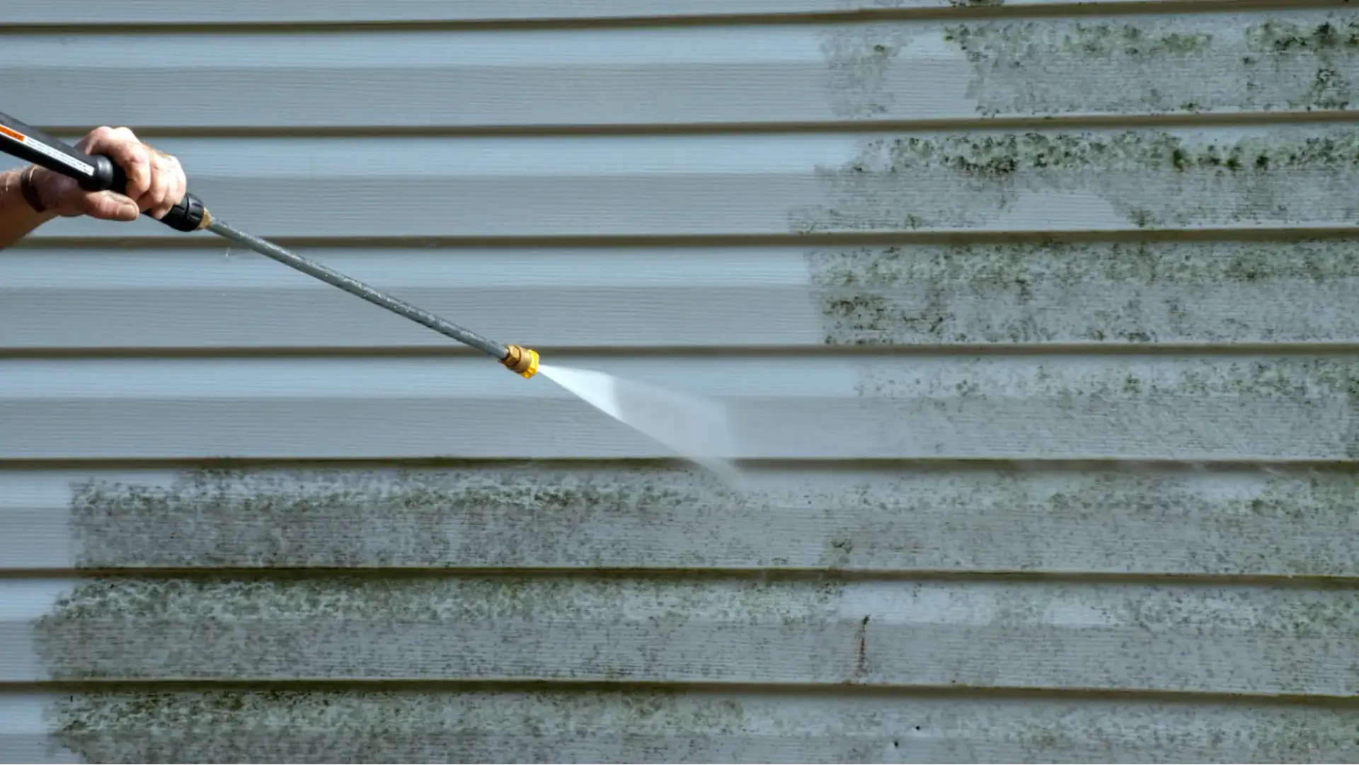 Maintain your Hawke's Bay home in Spring with these house maintenance tips